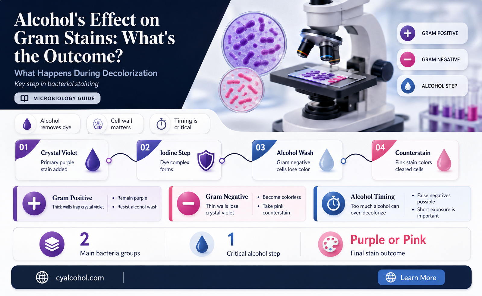 are gram positive or gram negative stains removed with alcohol
