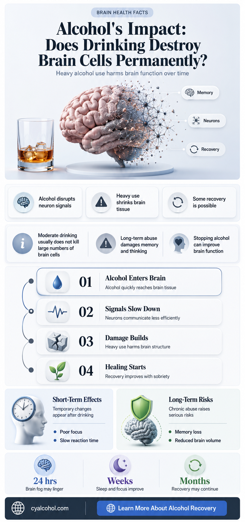 are brain cells destroyed from alcohol