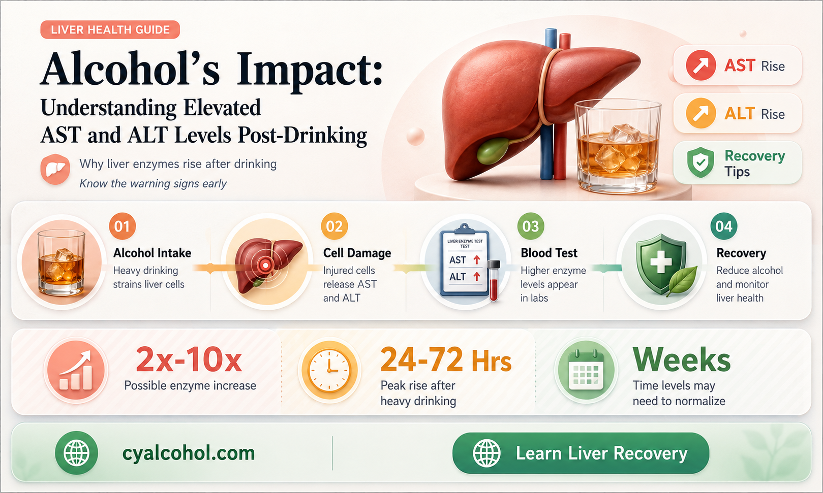 are ast and alt elevated after having alcohol