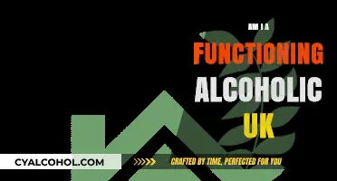 Am I a Functioning Alcoholic? UK Signs and Self-Assessment Guide