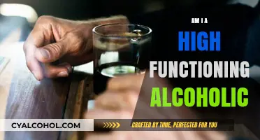 High Functioning Alcoholic: Recognizing the Signs and Seeking Help