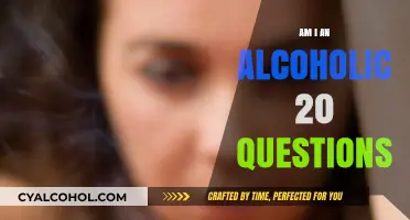 Am I an Alcoholic? 20 Questions to Assess Your Drinking Habits