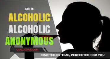 Am I an Alcoholic? Exploring AA and Finding Answers