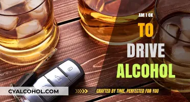 Am I Safe to Drive? Understanding Alcohol Limits and Risks