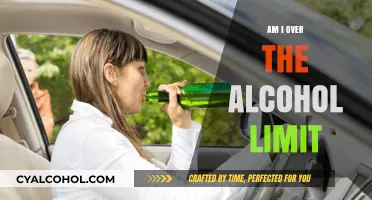 Am I Over the Limit? Understanding Alcohol Limits and Safe Driving
