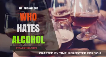 Am I Alone? Why I Despise Alcohol and Its Culture