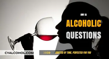 Am I an Alcoholic? Key Questions to Assess Your Drinking Habits