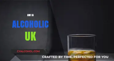 Am I an Alcoholic? Recognising Signs and Seeking Help in the UK