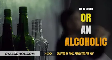 Am I Just Drunk or Is It Alcoholism? Signs to Watch