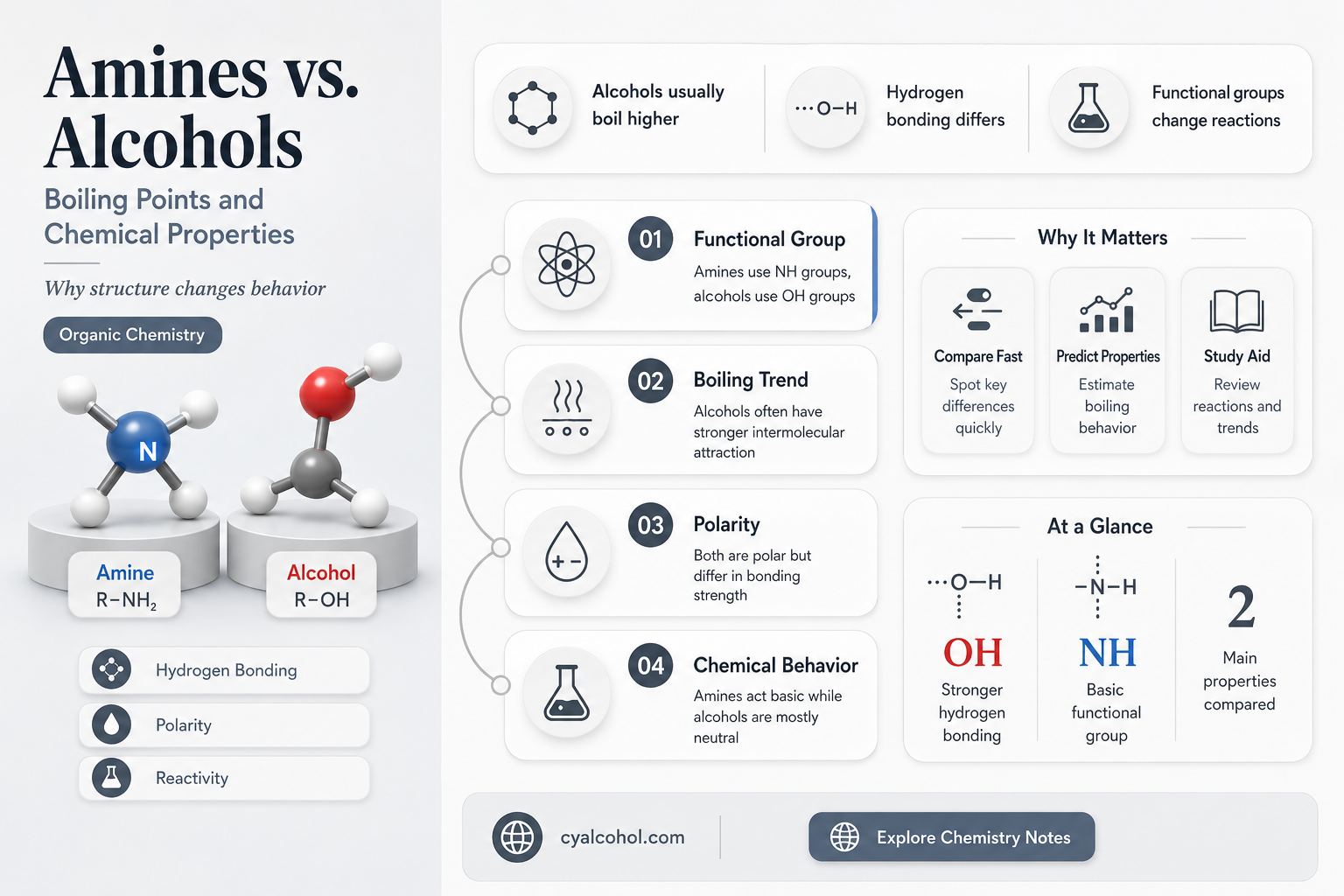 are amines higher bp than alcohol