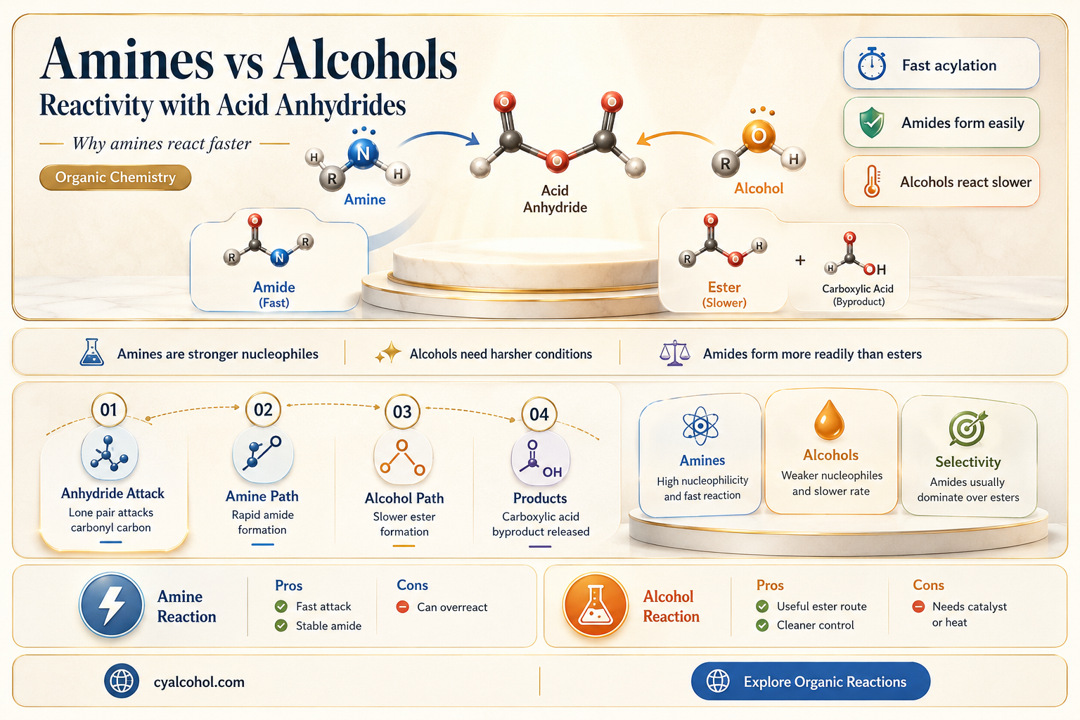 are amines or alcohols more reactive with acid anhydrides