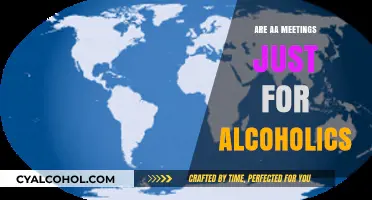 Are AA Meetings Only for Alcoholics? Exploring Inclusivity and Support