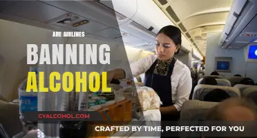 Are Airlines Banning Alcohol? Exploring New In-Flight Policies and Trends