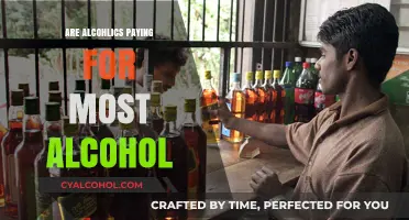 Do Alcoholics Subsidize the Industry? Exploring Who Pays the Most