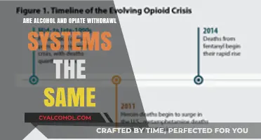 Alcohol vs. Opiate Withdrawal: Symptoms, Similarities, and Key Differences Explained