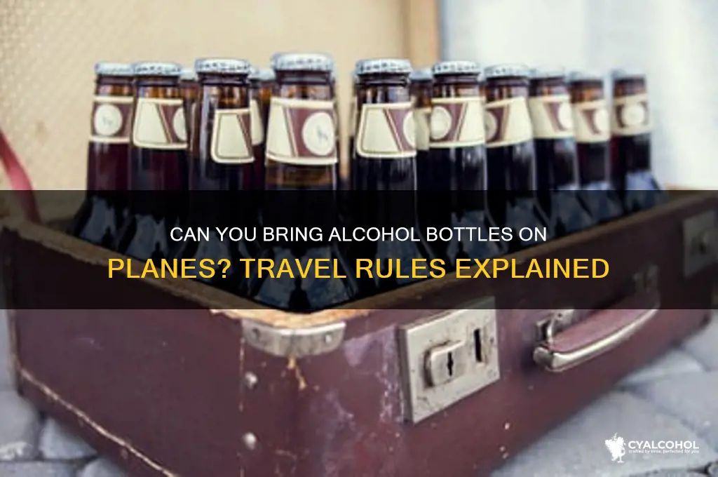 Can You Bring Alcohol Bottles On Planes? Travel Rules Explained | CyAlcohol