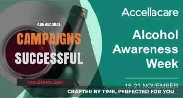 Do Alcohol Awareness Campaigns Effectively Reduce Consumption and Harm?