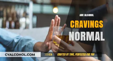 Understanding Alcohol Cravings: Are They a Normal Part of Recovery?