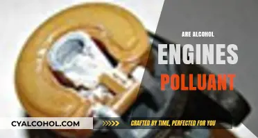 Are Alcohol-Fueled Engines Eco-Friendly or Harmful Pollutants?