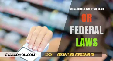 Alcohol Laws: State vs. Federal Regulations Explained