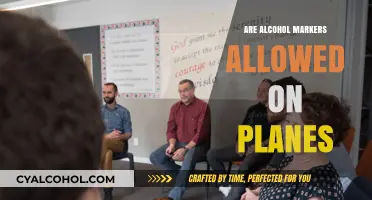Can You Fly with Alcohol Markers? TSA Rules Explained