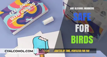 Are Alcohol Markers Bird-Safe? Understanding Risks for Pet Owners