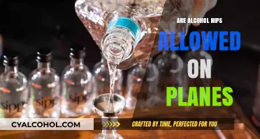 Can You Bring Alcohol Nips on Planes? TSA Rules Explained