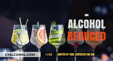 Exploring the Rise of Alcohol-Reduced Beverages: Trends and Benefits