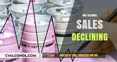 Is the Party Over? Exploring the Decline in Alcohol Sales