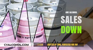 Are Alcohol Sales Declining? Trends, Causes, and Industry Insights