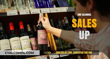 Alcohol Sales Surge: Analyzing Rising Trends in Beverage Consumption