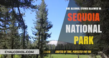 Alcohol Stoves in Sequoia National Park: Rules and Regulations Explained