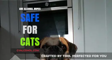 Are Alcohol Wipes Safe for Cats? Essential Pet Care Tips