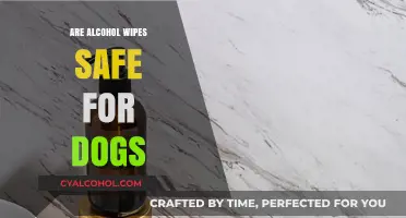 Are Alcohol Wipes Safe for Dogs? A Pet Owner's Guide
