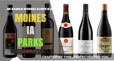 Alcoholic Beverages in Des Moines Parks: What's Allowed?