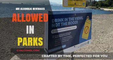 Can You Enjoy Alcoholic Beverages in Public Parks? Rules Explained