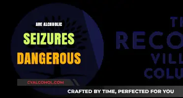 Are Alcoholic Seizures Dangerous? Understanding Risks and Consequences