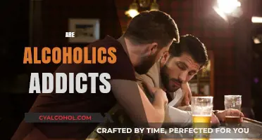 Alcoholism and Addiction: Unraveling the Complex Relationship Between the Two