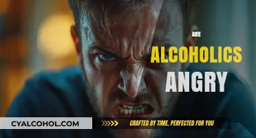 Understanding the Complex Link Between Alcoholism and Anger Outbursts