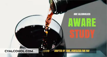 Are Alcoholics Aware? Unveiling Insights from a Recent Awareness Study