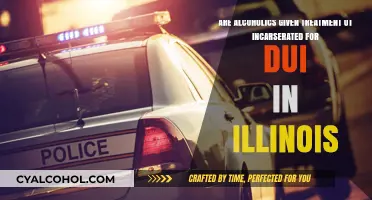 Illinois DUI: Treatment or Jail for Alcoholics?
