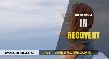 Navigating Sobriety: Understanding Recovery for Alcoholics and Their Journey