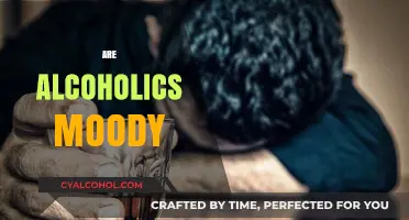 Understanding the Emotional Turmoil: Are Alcoholics Prone to Mood Swings?