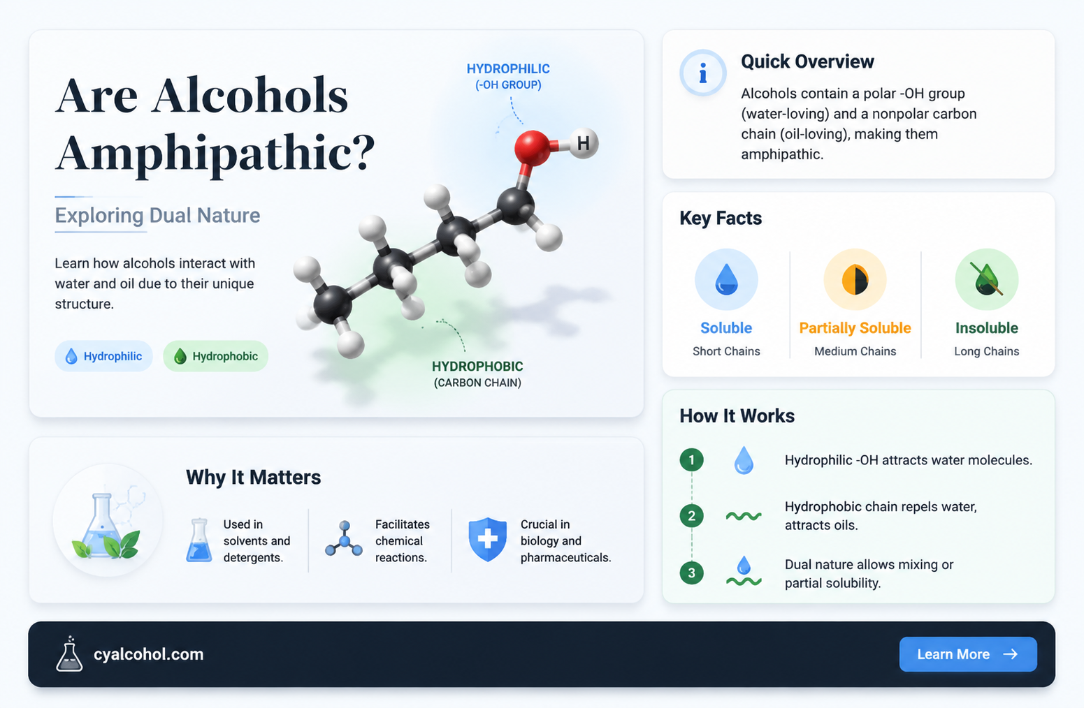 are alcohols amphipathic