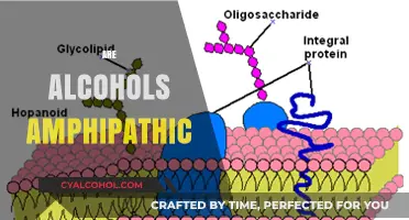Are Alcohols Amphipathic? Exploring Their Dual Nature and Properties