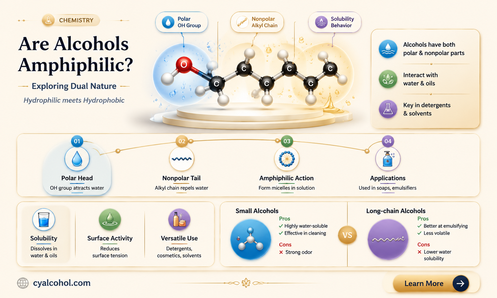 are alcohols amphiphilic