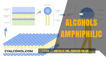 Are Alcohols Amphiphilic? Exploring Their Dual Nature and Properties