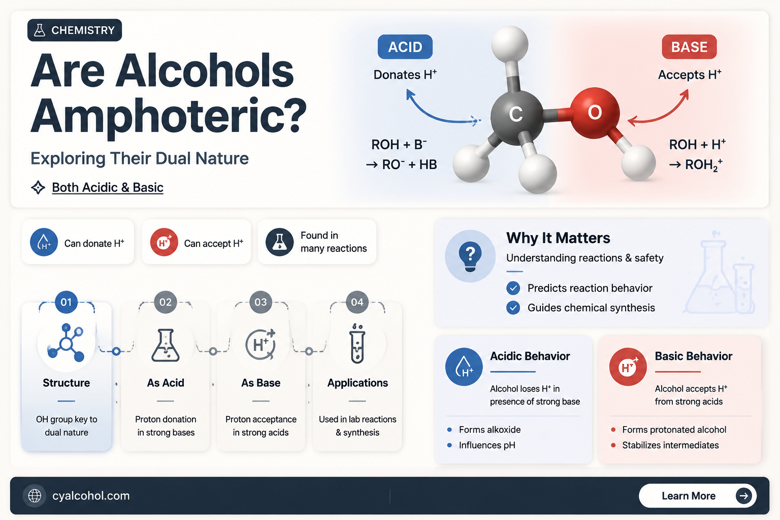 are alcohols amphoteric