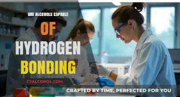 Can Alcohols Form Hydrogen Bonds? Exploring Molecular Interactions