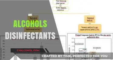 Are Alcohols Effective Disinfectants? Exploring Their Antimicrobial Properties